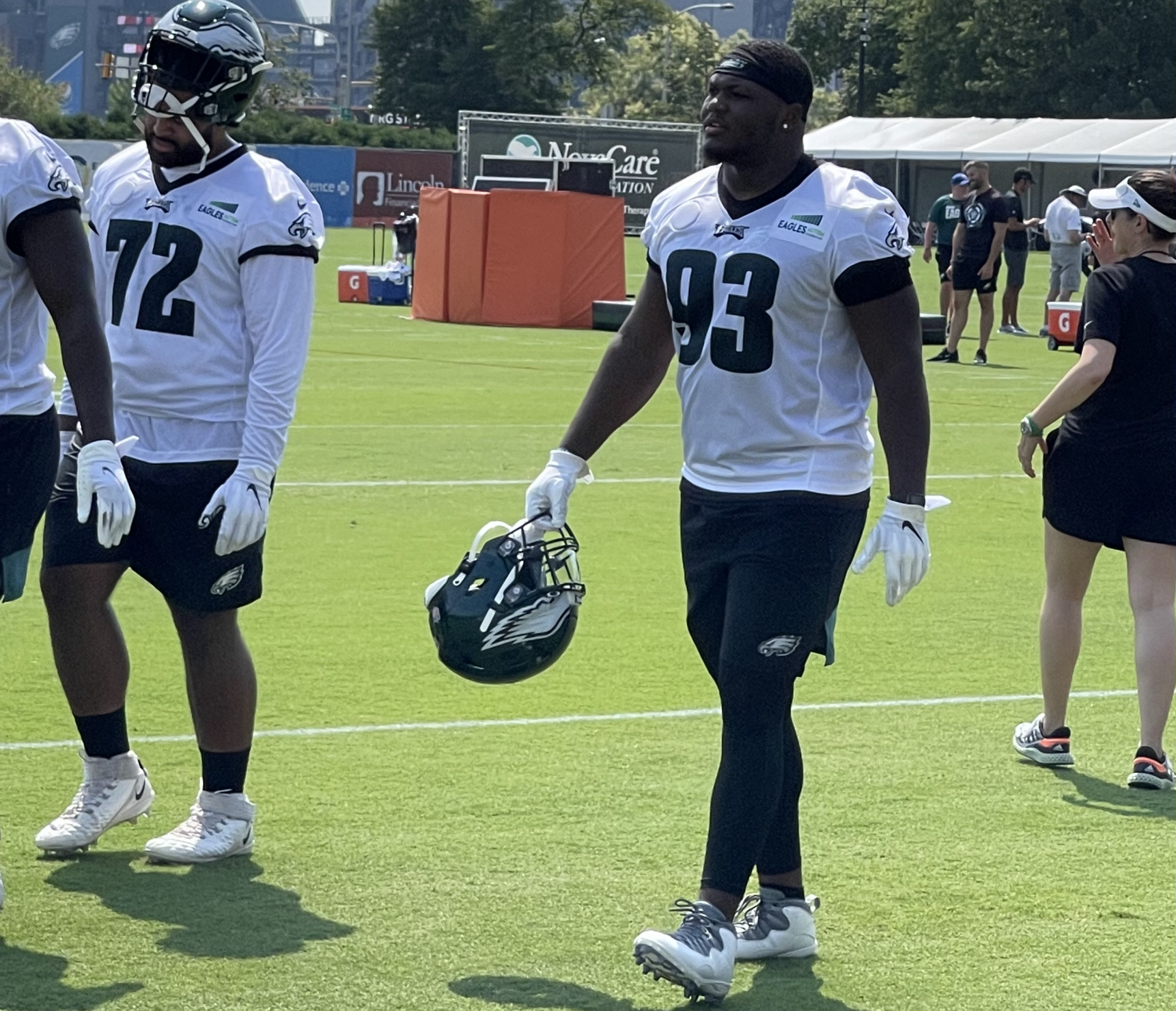 Pair Of Birds Rookies Ready To Spread Wings