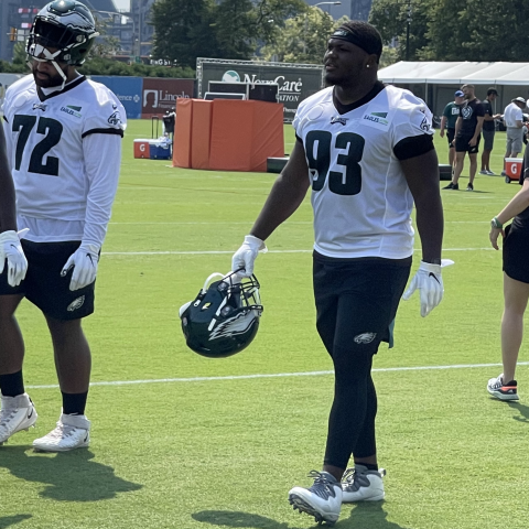 Pair Of Birds Rookies Ready To Spread Wings