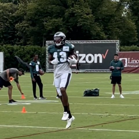 Crash Landing: Fulgham Out As Birds Trim Roster