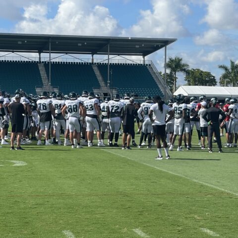 Camp Observations: Birds Solo For Last Dance