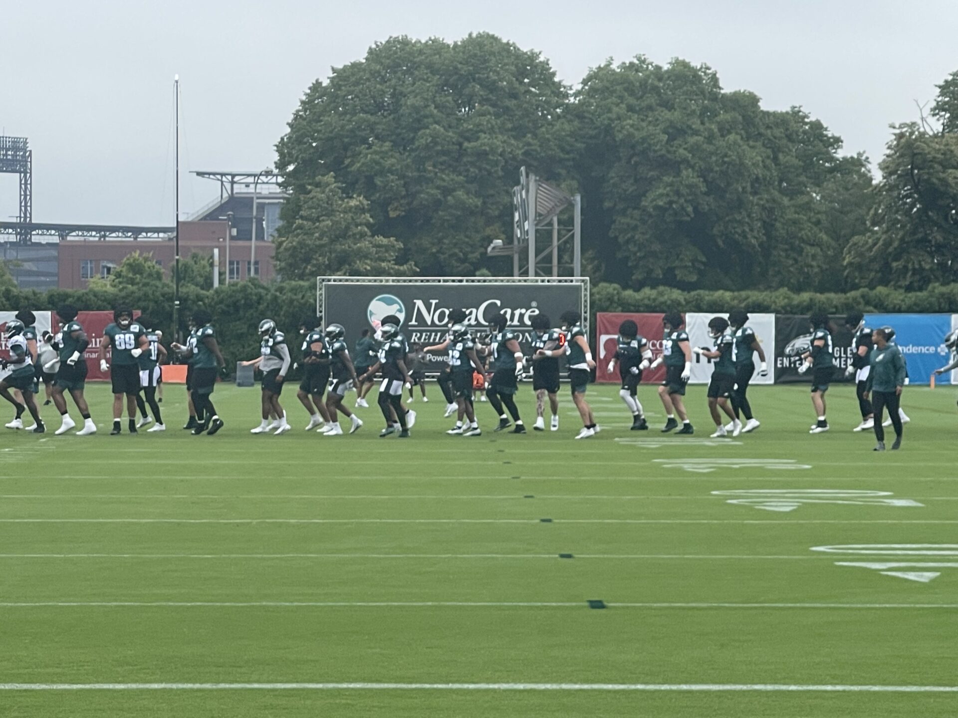 Camp Notes: Day 4 Observations