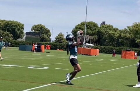 Secondary Stands Out