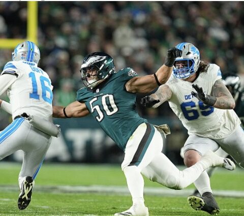 The Lions Sleep Tonight