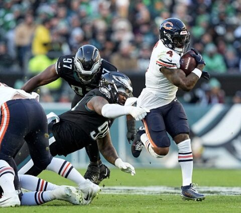 Can Birds Get Back Up?