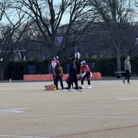 Peak Health For Birds