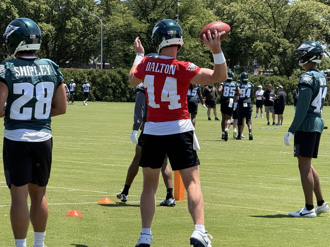 dicecco 2026 mandatory minicamp